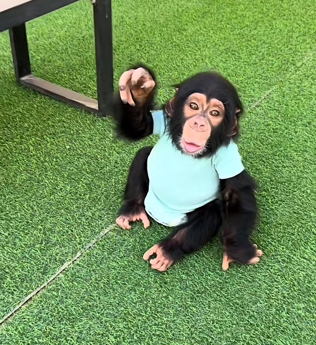 $kiky is officially on solana!

CA: 7zad3uwDn3c9rLsF5SPHc12WFy6wxK6skmoitGtJpump