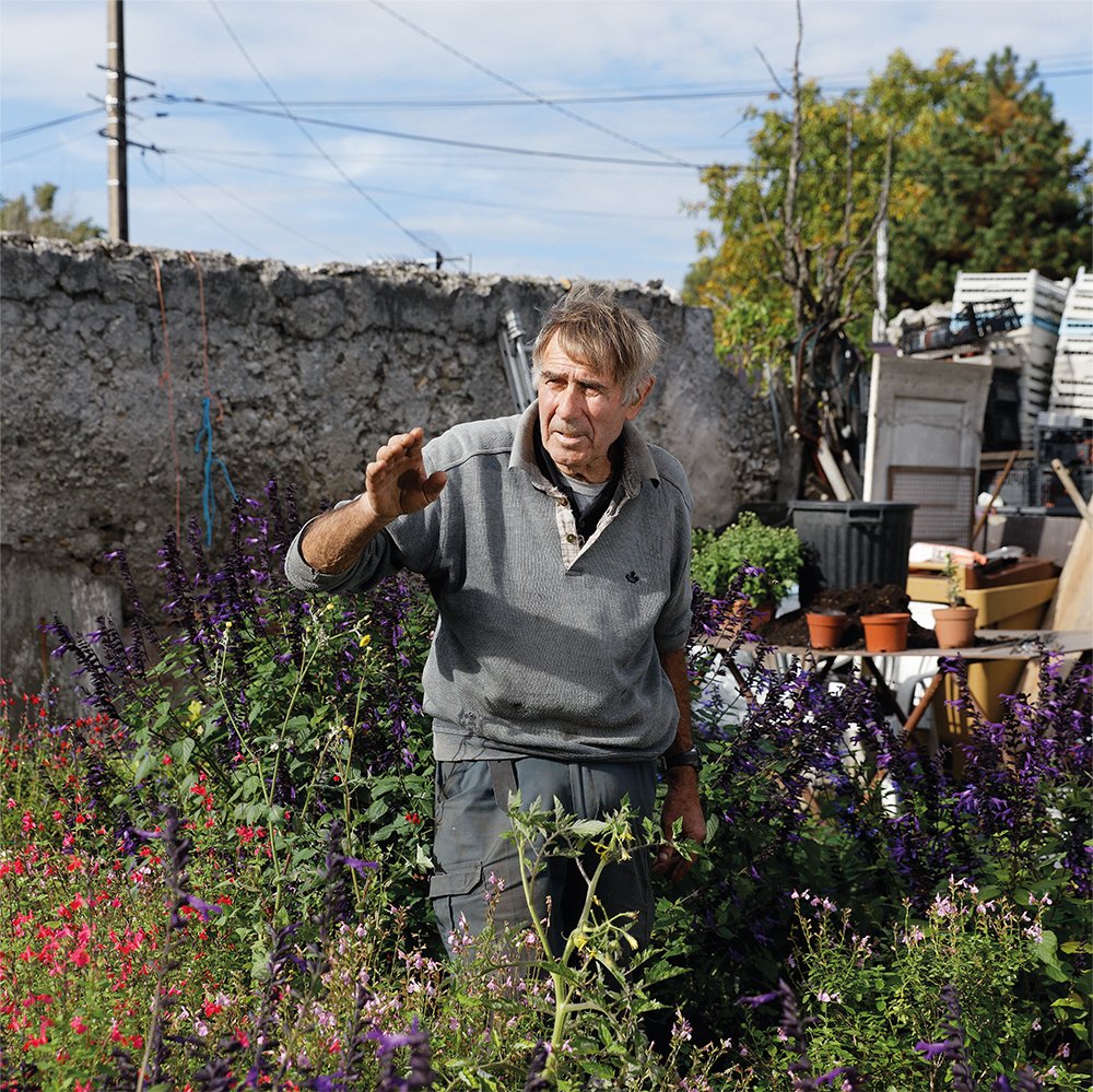 SRHM93's tweet photo. Bonjour à tous,
Vous trouverez ce vendredi 01.11 (14h-19h) au #PetitMarché du #JardinEcole de #Montreuil :
- Les bons fruits &amp; légumes &amp; la viande bio de Patrick
- Les conseils et les belles vivaces de Silvère,
- Les chrysanthèmes de Roger, cultivateur historique des #MursÀPêches https://t.co/OegICClNP8