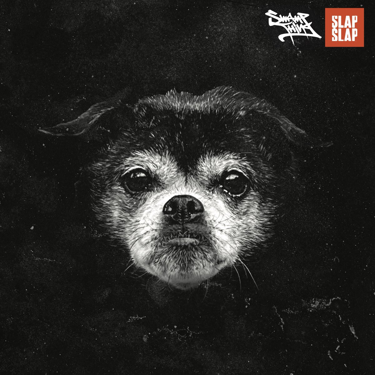 🎙️ Listen to <a href="/SwampThingRaps/">SLAP SLAP</a> "Pure Quality (feat.
<a href="/GHETTOSOCKS/">Pico da Guy, yo.</a>)" on 'HipHop Fusion', a playlist by Boundless Fusion Playlists.  

Spotify:
open.spotify.com/playlist/0Uirk…

Deezer:
deezer.com/en/playlist/13…