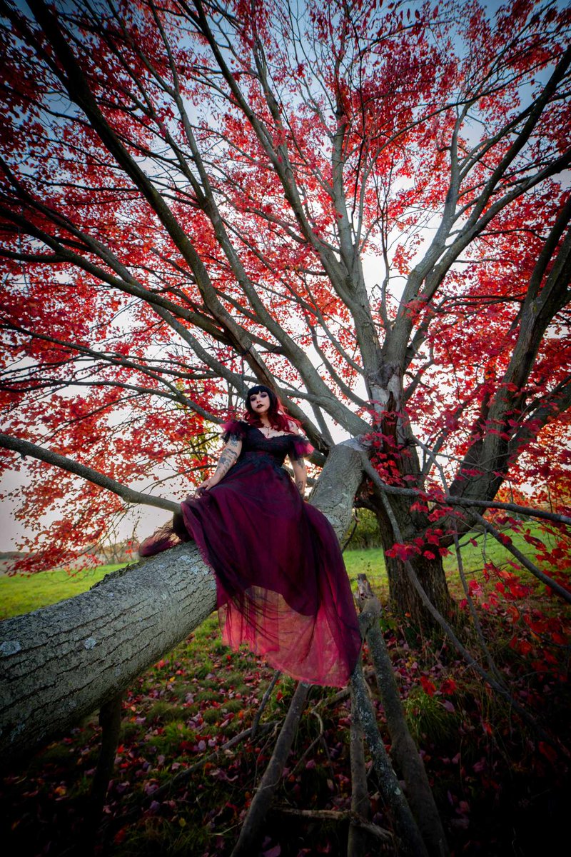 Want to know what my favorite color is? It's this. This is my favorite color. ❤️ 

📷📷 @knight.storm.photography 

#maroon #red #darkred #goth #gothic #scenery #prettyaesthetic #photography #leaf #leaves #tree #fall #fallvibes #autumn #autumnvibes #prettydress #aesthetic