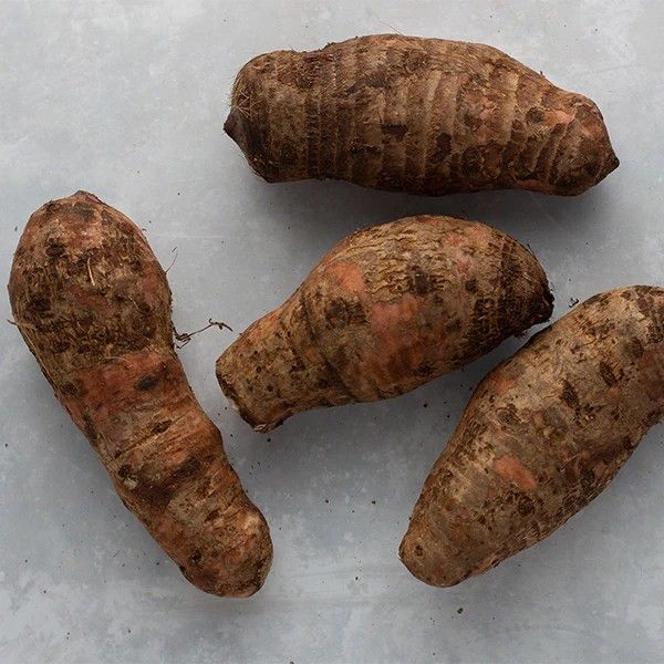 COCOYAMS AND YAMS THAT ARE NOT IN MANY COUNTRIES.  WHEN YOU EAT THE COCOYAMS WITH BEANS , IT'S LAST MORE THAN 12 HOURS IN THE BODY, IT ONLY NEEDS WATER TO RISE IN YOUR BODY. 💯