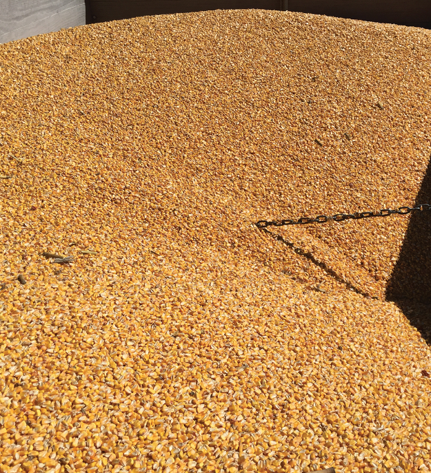 Crop Protection Network tweet media