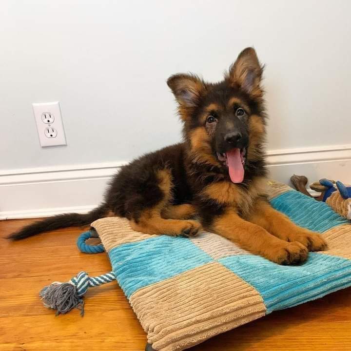 Hope everyone will support ❤️👍Follow me:❤️🤗