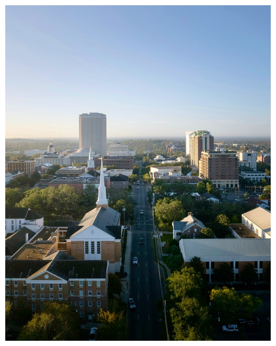 Tallahassee mornings.