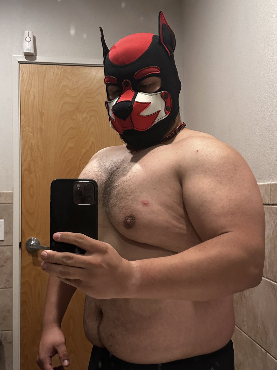pupdelta7's tweet photo. Love being a beefy pup! Arf! https://t.co/gIhNEZJREj