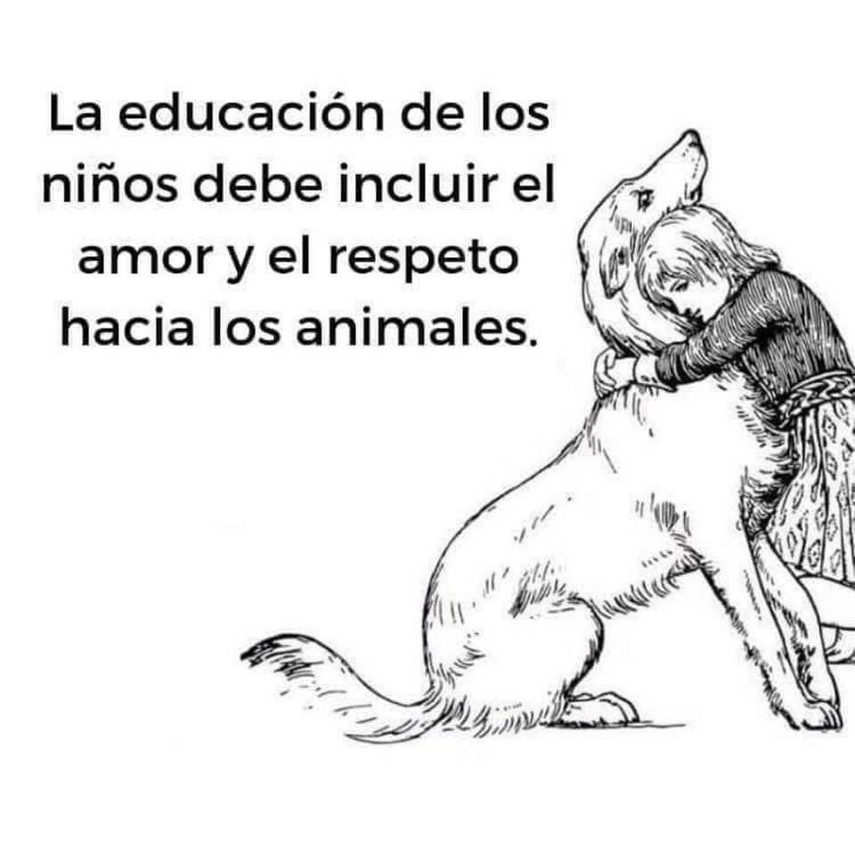 Mayú Guillén 🇲🇽🇺🇦 (@mayumiguillen) on Twitter photo 