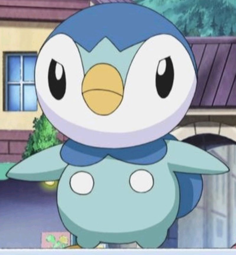 Sp0tlightPiplup's tweet photo. ( Piplup shakes his head before smiling , a determined look in his eyes . He wanted to train a bit . ) 

{ Piplup ! } https://t.co/D598ZyYAdk