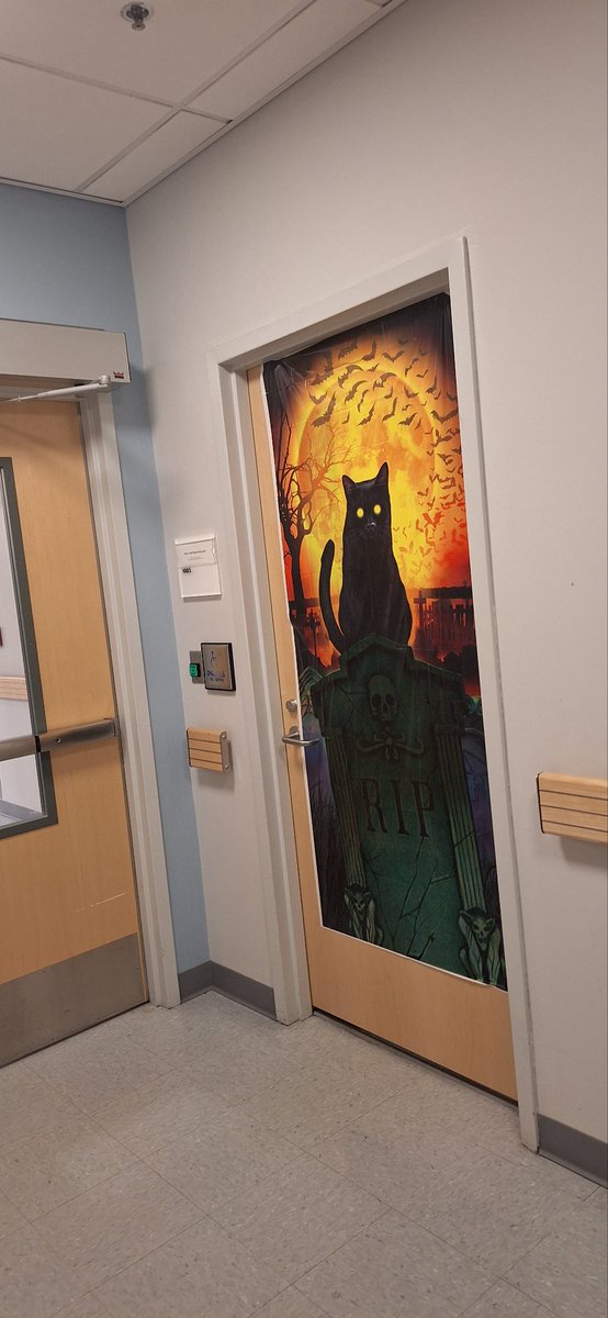 Milene_fontes (@milenefontes3) on Twitter photo This should be the dark room for developing western blots.
#Halloween <a href="/VUMCDiscoveries/">Vanderbilt University Medical Center</a> @VUMCResearch This should be the dark room for developing western blots.
#Halloween <a href="/VUMCDiscoveries/">Vanderbilt University Medical Center</a> @VUMCResearch