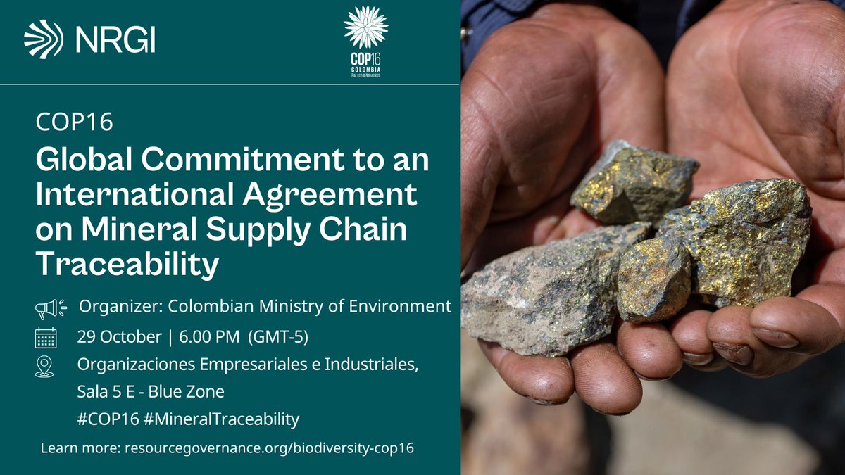 Natural Resource Governance Institute tweet media