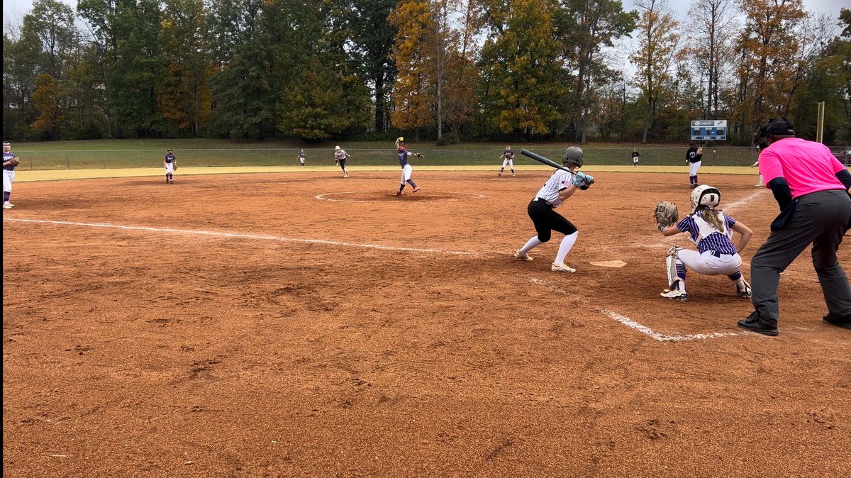 Molly Spidel tweet media