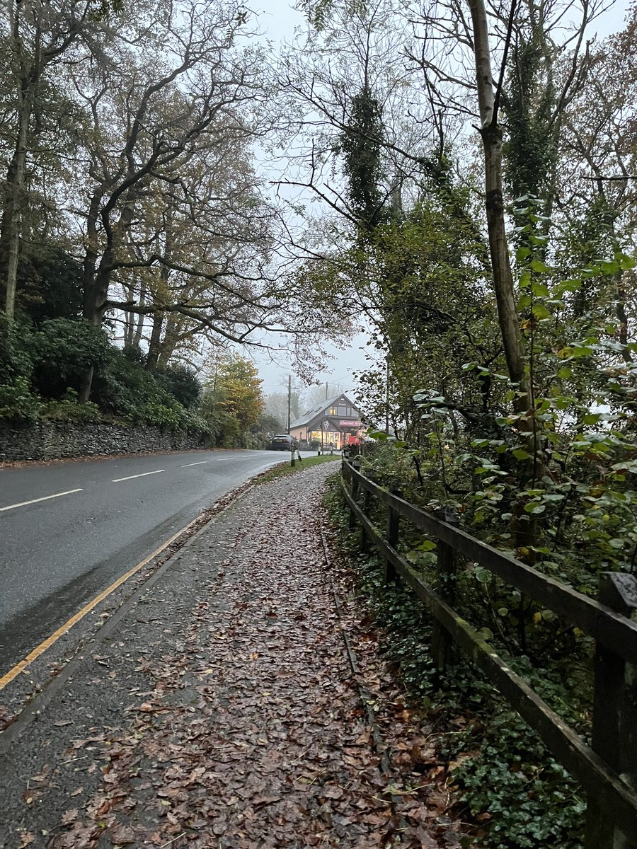 Autumn evening stroll