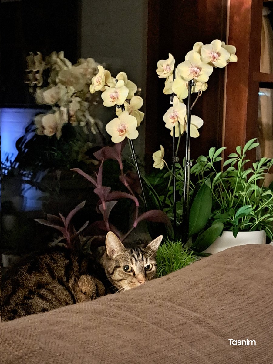 New angle of the day!!! I would really like my cookies now, Mum!!