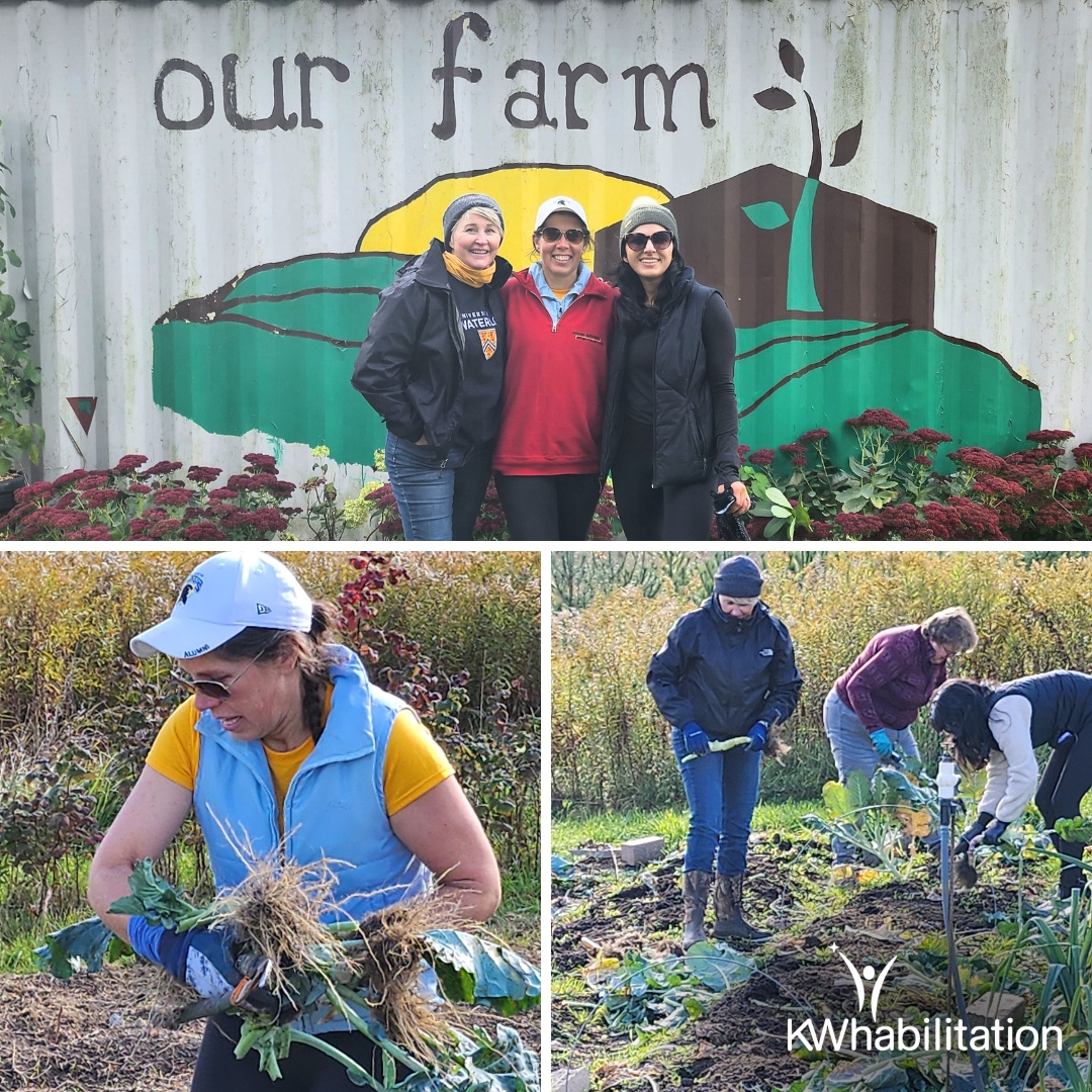 A HUGE thank you to the University of Waterloo Alumni Relations for helping out at Our Farm this fall! We appreciate all the help in pulling out plants, picking peppers, taking down our trellising and so much more. #KWAwesome #GoodThingsComeFromOurFarm