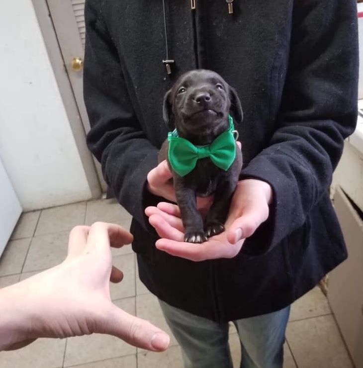 I was just adopted. Don't scroll without saying hello to me ❤️