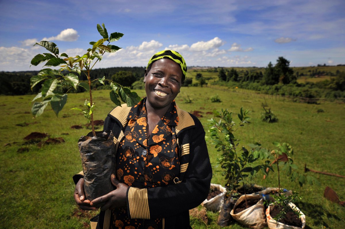 Climate Change in Uganda: Challenges, Impacts, and the Path Forward linkedin.com/pulse/climate-…