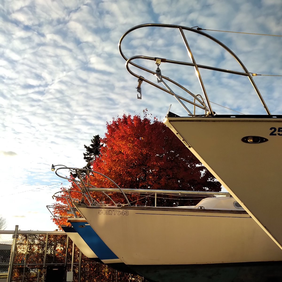 UniqueCaptured's tweet photo. #fall #day #sailboats https://t.co/2dquKXX99S