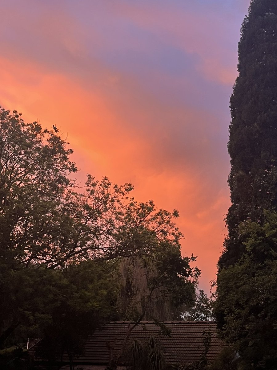 David Wyatt tweet media