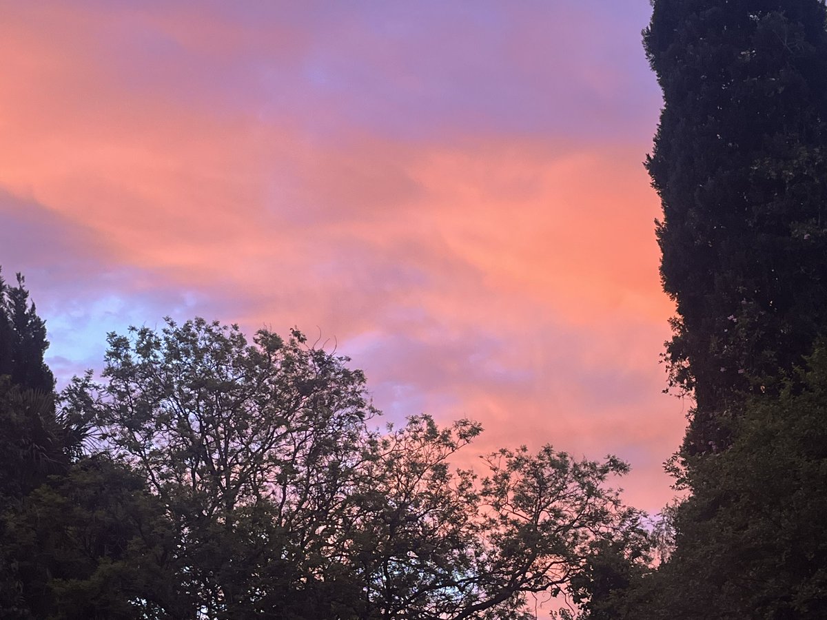 David Wyatt tweet media