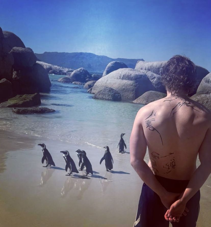 Morgan Davies Brasil (fã-clube) tweet media