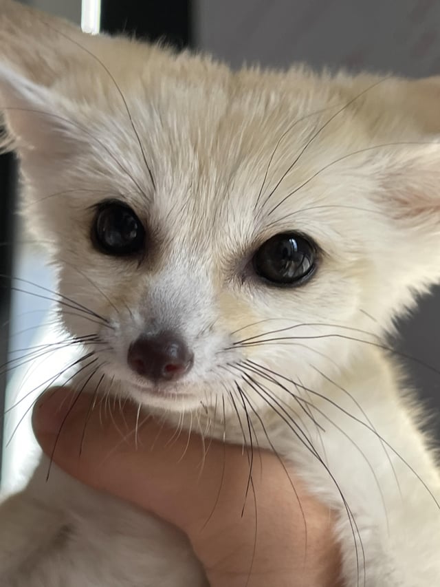 Michael Sun, seeker of opportunities ✈️MC Vegas tweet media