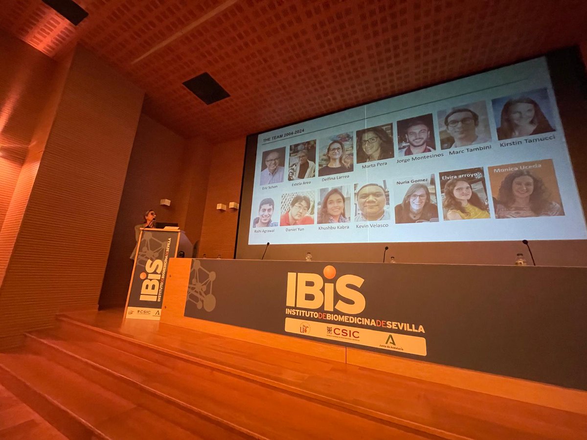 IBiS (@ibis_sevilla) on Twitter photo 🟠 SCIENCE |
Last speaker today, Dr. Estela Area, from the Center for Biological Research (<a href="/CIB_CSIC/">CIB Margarita Salas (CSIC)</a>) - Margarita Salas, <a href="/CSIC/">CSIC</a>; talking on “The role of MAM in the regulation of lipid metabolism”.
Then, final Round Table Discussion. Thanks for coming, see you tomorrow!
#IIW2024 🟠 SCIENCE |
Last speaker today, Dr. Estela Area, from the Center for Biological Research (<a href="/CIB_CSIC/">CIB Margarita Salas (CSIC)</a>) - Margarita Salas, <a href="/CSIC/">CSIC</a>; talking on “The role of MAM in the regulation of lipid metabolism”.
Then, final Round Table Discussion. Thanks for coming, see you tomorrow!
#IIW2024