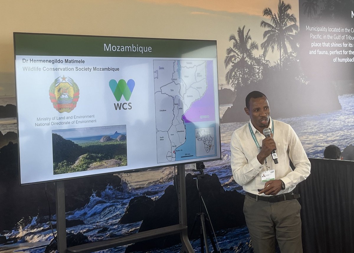 Mozambique’s map of ecosystem types help the country reporting on the ecosystem-related headline indicators in the #GBF, said Hermenegildo Matimele at #COP16Colombia. 

With partners and national/regional experts, we’ve mapped and Red Listed 162 ecosystem types as part of #USAID