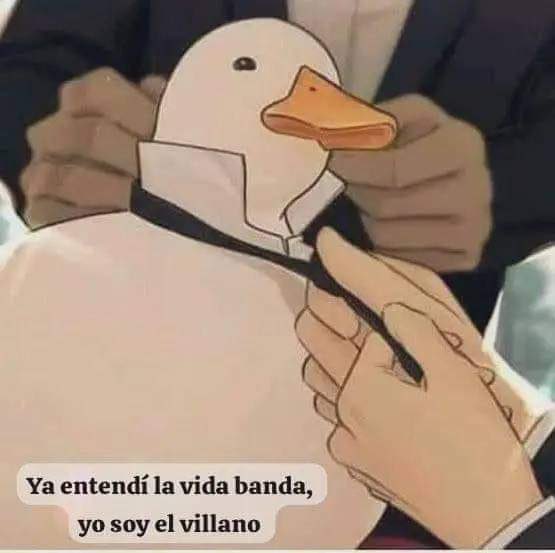 eldiariodedross's tweet image. 