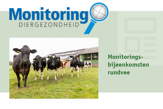 Het afgelopen jaar ontving de Veekijker Rund belangrijke signalen uit het veld en pathologie. Tijdens de monitoringsbijeenkomsten rund op 7, 14 en 21 november en 3 december gaan we hier dieper op in. Programma en aanmelden: gddiergezondheid.nl/intervisie
