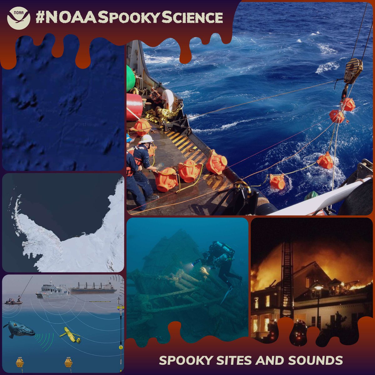 NOAAeducation's tweet photo. Uncover mysterious underwater sounds, explore shipwrecks, and discover what some have claimed to be the lost underwater civilization of Atlantis — all things that “go bump” in the sea:
https://t.co/hawGuwcrPG
#FallInLoveWithScience https://t.co/fqm5jFASeE