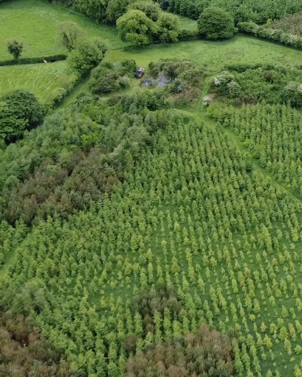 FarmForest tweet media