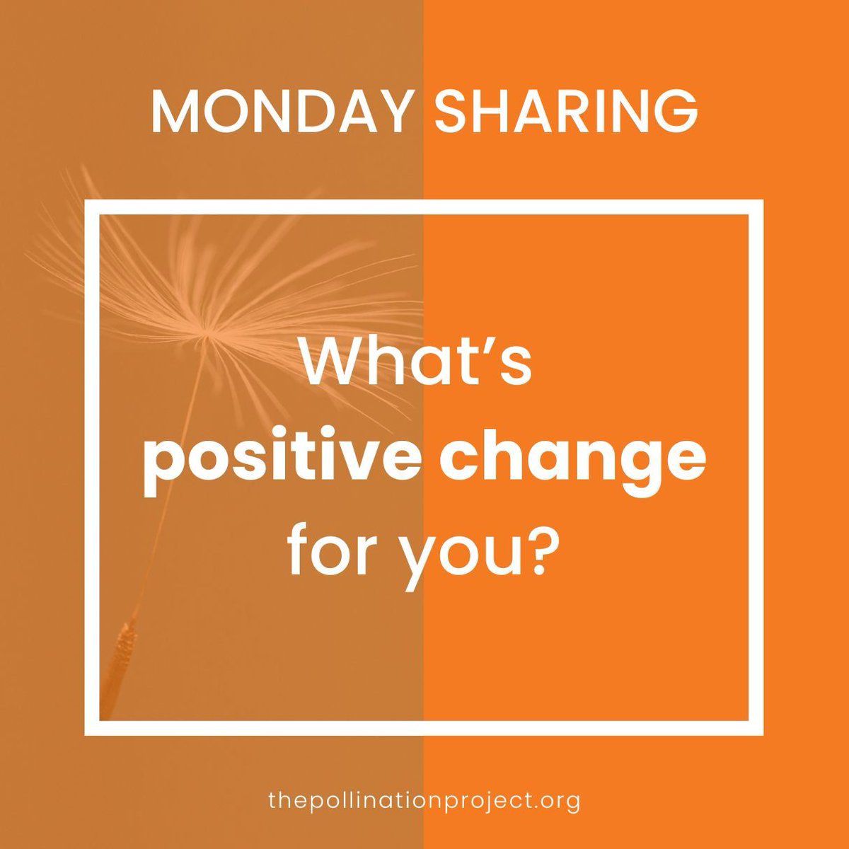 Pollinationproj's tweet image. ✨ Monday Sharing: Let&apos;s explore #PositiveChange ✨
What&apos;s positive change for you?
Whether it&apos;s a small personal victory or a community breakthrough, your perspective matters. Share what positive change means in your world.
#ThePollinationProject #Changemakers