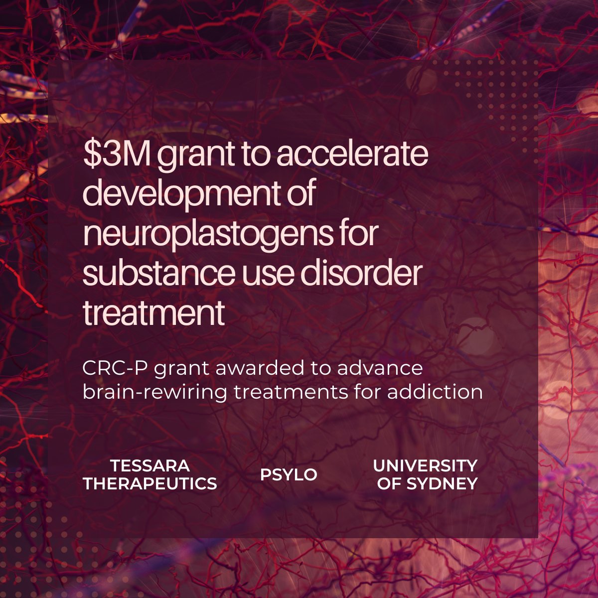 Xylo Bio (@xylo_bio) on Twitter photo Psylo is joining forces with Tessara Therapeutics & <a href="/Sydney_Uni/">University of Sydney</a> to advance neuroplastogen development for treating addiction! 🚀🧠
We aim to reshape and ‘rewire’ how we tackle substance use disorders.
Learn more: prnewswire.com/news-releases/… Psylo is joining forces with Tessara Therapeutics & <a href="/Sydney_Uni/">University of Sydney</a> to advance neuroplastogen development for treating addiction! 🚀🧠
We aim to reshape and ‘rewire’ how we tackle substance use disorders.
Learn more: prnewswire.com/news-releases/…