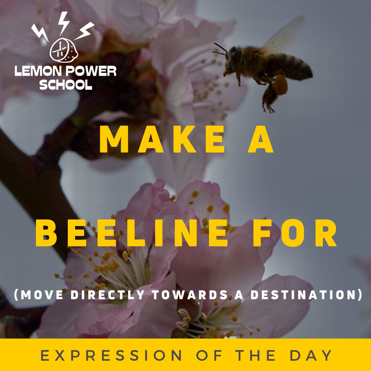 tlteducation's tweet image. 🍋🇬🇧 ¿Conocías esta expresión? 

Comenta debajo usándolo en un ejemplo ⬇️

#lemonpowerschool #educationexperts #expertoseneducacion