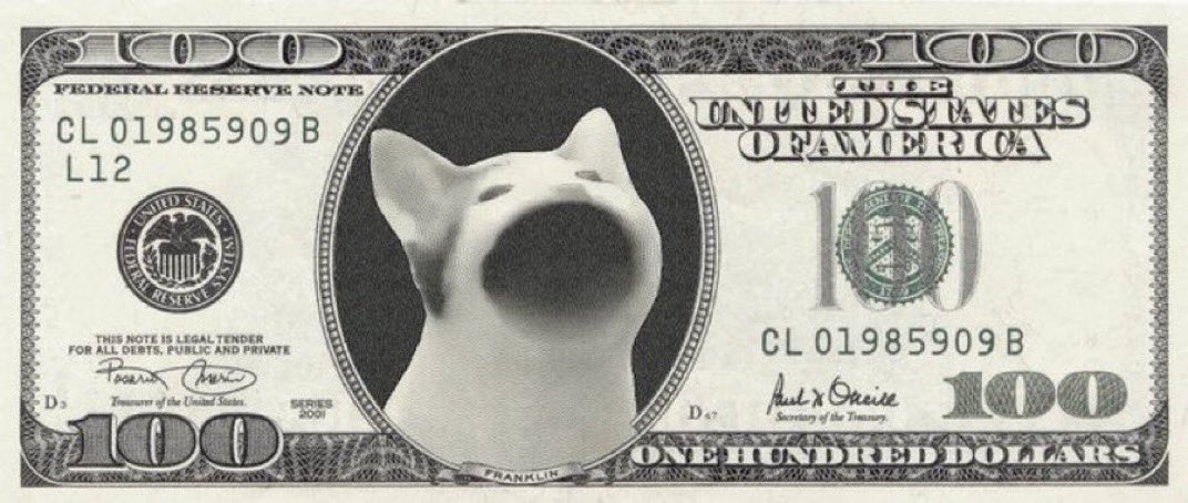 artsch00lreject's tweet image. 