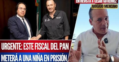 pepe33192139's tweet photo. ¡¡#CHEQUEN ESTA #NOTA!! #URGE QUE YA SE QUITE DE #TAJO Y #SE LLEVE #ADELANTE LA #REFORMA AL #PODER #JUDICIAL Y TAMBIÉN DE ESTE TIPO DE #BASURA DE LAS #FISCALIAS DE ALGUNOS #ESTADOS QUE NUNCA HAN #EJERCIDO LA #JUSTICIA NI LES #INTERESA…!! Y TENÍA QUE SER #OTRO #ESTADO #PANISTA https://t.co/SgyHDA31Y4