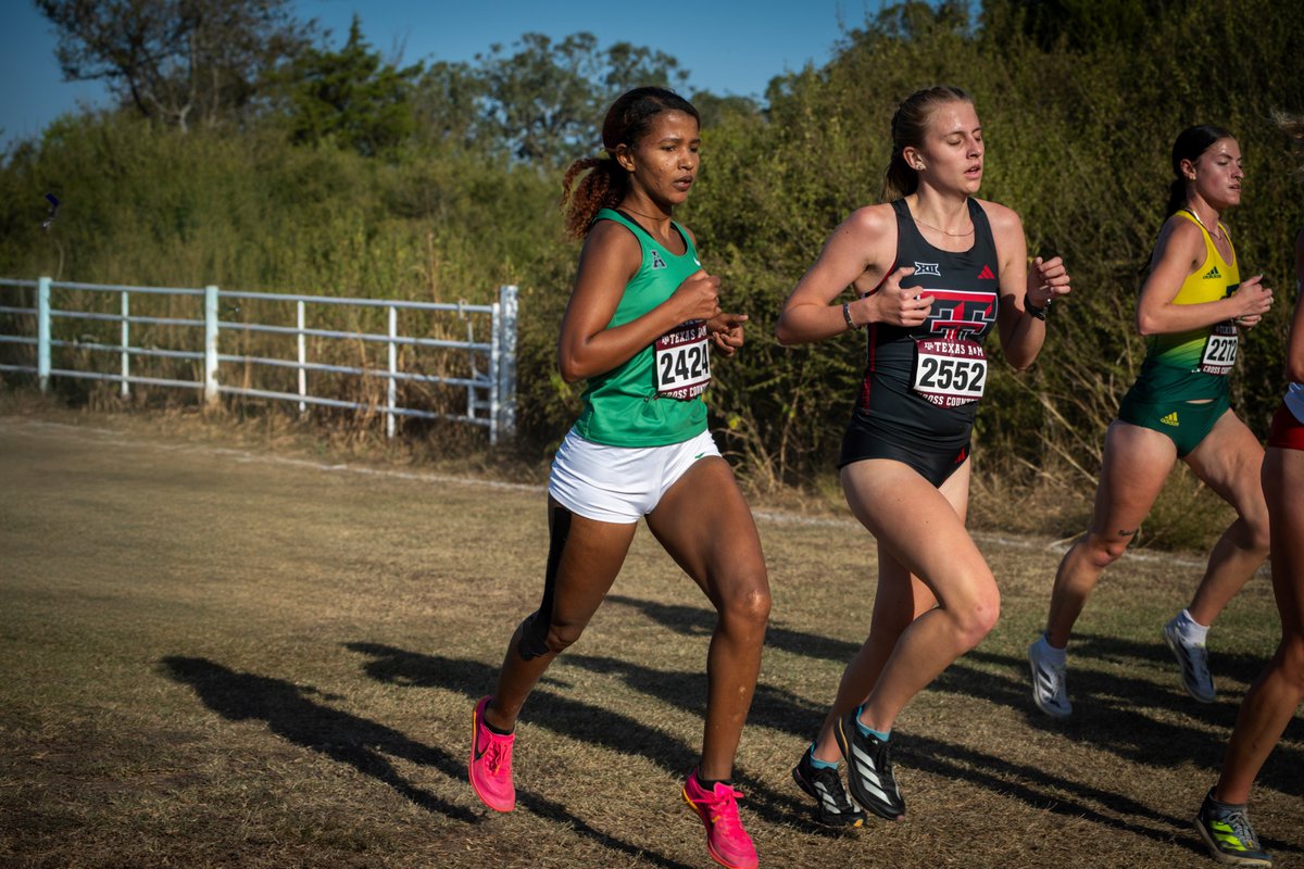 Carrying momentum into conference championship week 📈

#GMG🦅