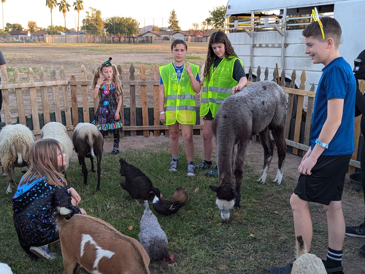 Deer Valley Unified School District tweet media