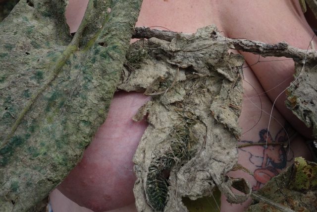 Grand Union (@grandunionltd) on Twitter photo November’s <a href="/digbethFirstFri/">Digbeth First Friday</a> is just around the corner and we’re buzzing! We’re presenting Samhain-inspired performances by Linda Stupart, Kasra Jalilipour, and Hasti.
🗓️ Friday 1 November
⏰ 6–8pm
Find out more 🔗 grand-union.org.uk/whats-on/novem…
📸 Image by Linda Stupart, 2024. November’s <a href="/digbethFirstFri/">Digbeth First Friday</a> is just around the corner and we’re buzzing! We’re presenting Samhain-inspired performances by Linda Stupart, Kasra Jalilipour, and Hasti.
🗓️ Friday 1 November
⏰ 6–8pm
Find out more 🔗 grand-union.org.uk/whats-on/novem…
📸 Image by Linda Stupart, 2024.