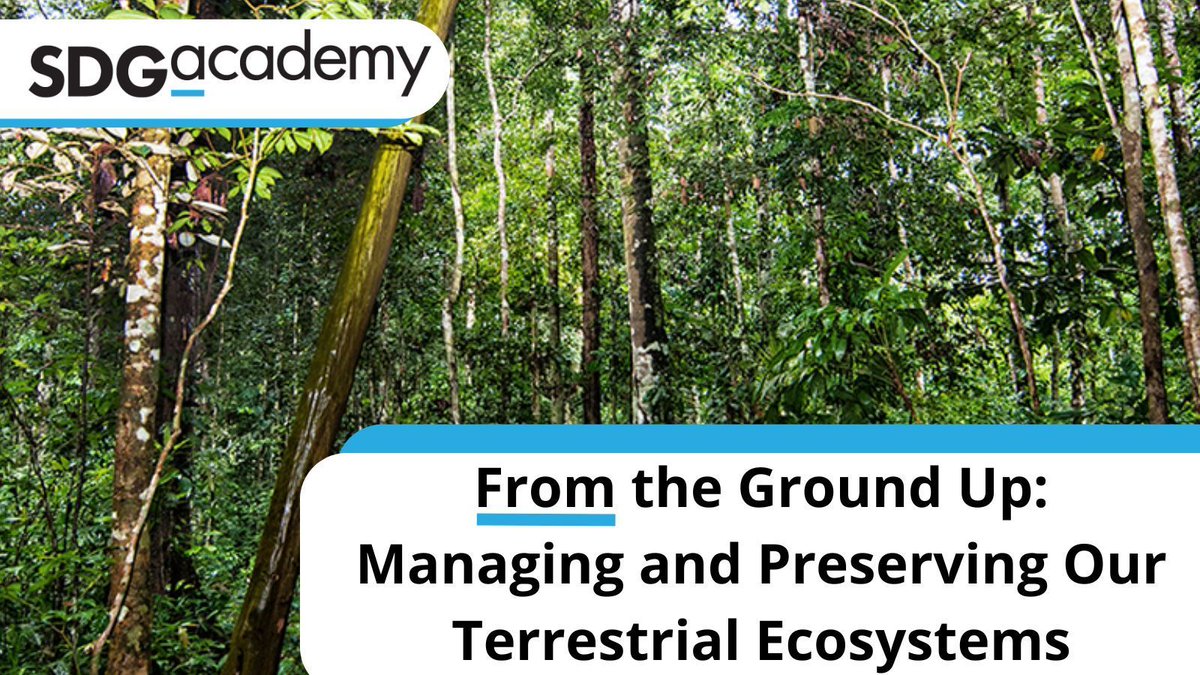 SDG_Academy's tweet image. Want to learn more about #SDG15? Examine the complex relationship between humans and their environment, and its effects on critical ecosystem services, in our course on "Managing our Terrestrial Ecosystems," with @fasamazonia.🌳

Enroll today! buff.ly/3YBwDIO
