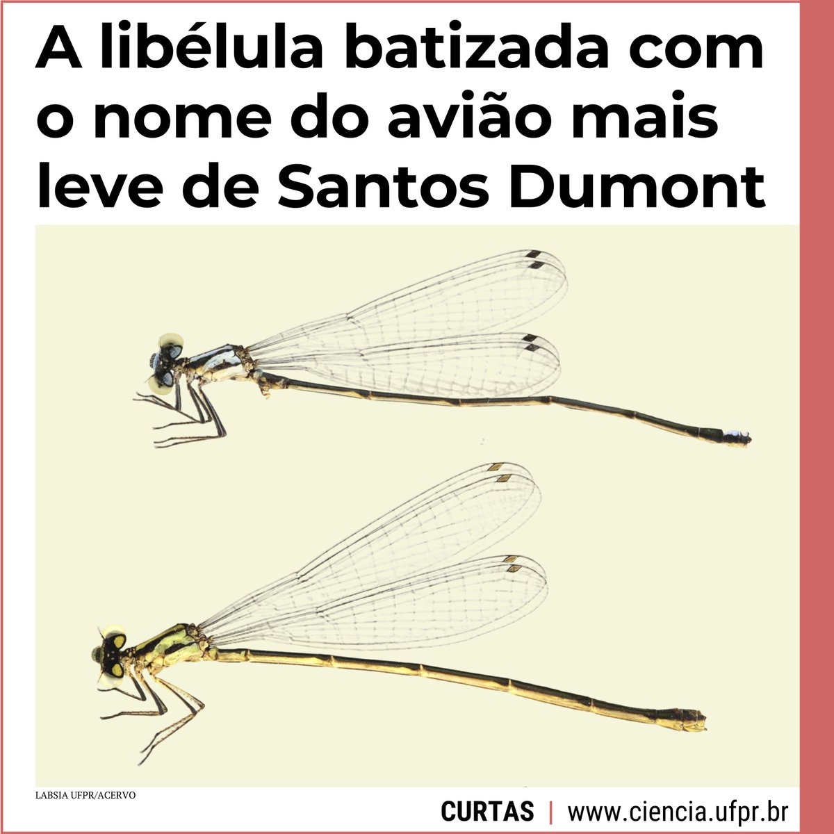 Ciência UFPR tweet media