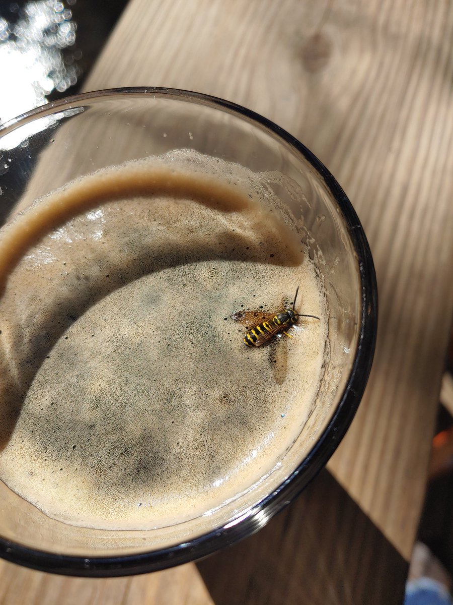 There's a bee in my beer