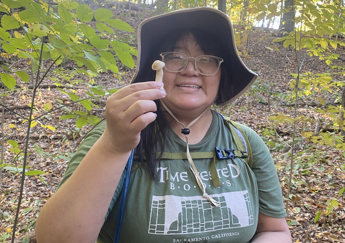 baystaters's tweet image. Fantastic fall forage 🍂🍄
Enjoy the leaves before they're gone
