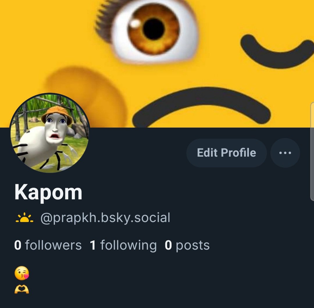Kapom tweet media