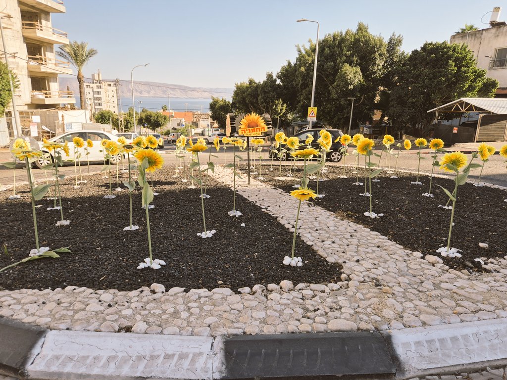 DannyDaddon's tweet image. רק בטבריה: מעגל תנועה במרחב הציבורי שהפך לפרסומת שיווקית. "החמניה" - חנות לממכר פיצוחים זכתה לכיכר על שמה, בעוד שרבים מבני העיר שנפלו עדיין לא זכו להנצחה. מה השלב הבא? כיכר רמי לוי?