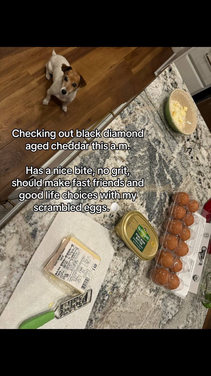 quesarahcooks's tweet image. Checking out black diamond aged cheddar this a.m.

Has a nice bite, no grit, should make fast friends and good life choices with my scrambled eggs.🥚 #blackdiamondcheese #agedcheddar #checkingitout with @AccordingtoMort