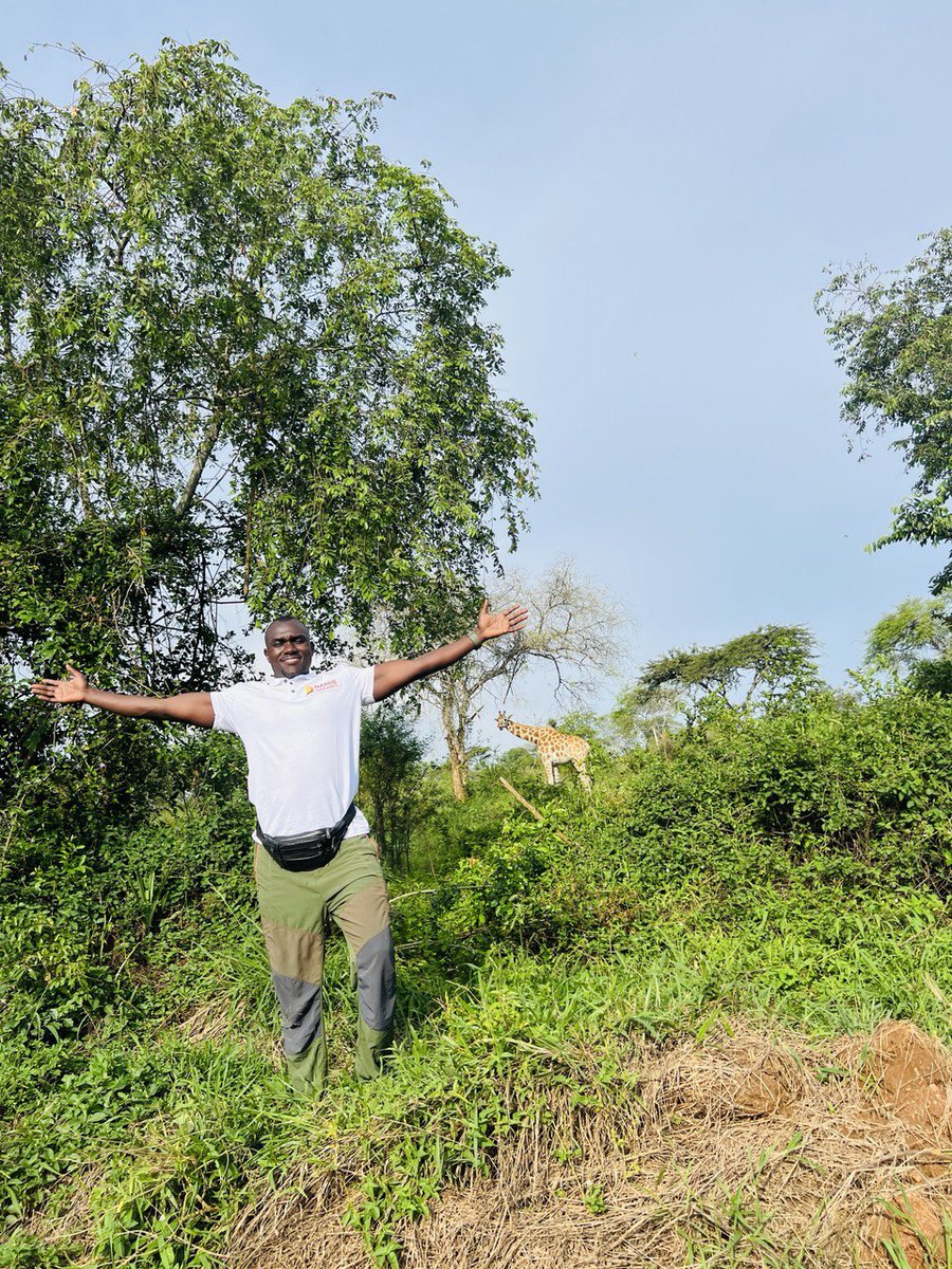 When you’re at Lake Mburo National Park, make sure to capture a stunning shot with the majestic Nubian giraffes. Their elegance against the backdrop of the park will create a memory you won’t want to miss🥂🤎💯
#ExploreUganda #VisitUganda #Discovery #Travel #wildlifephotography