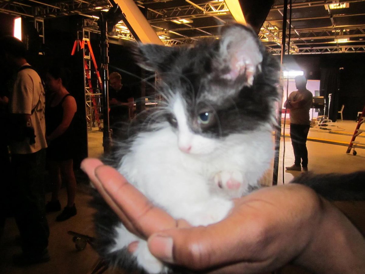 rubyqjenni's tweet image. ͏