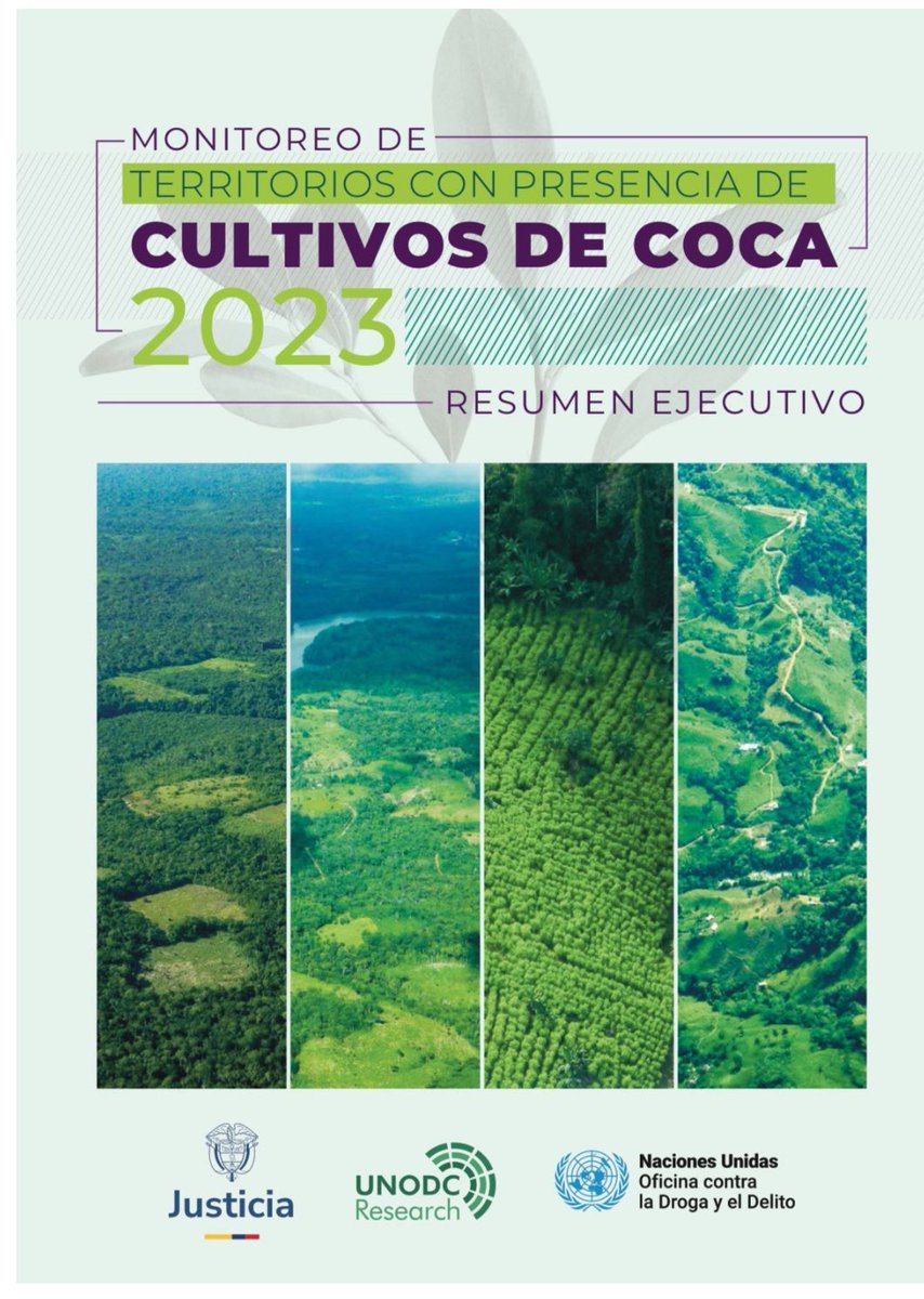 nicolasgallo's tweet photo. El área sembrada con #coca en Colombia volvió a crecer llegando a un nuevo histórico. El aumento corresponde con un 10% y para la producción potencial de Cocaína de un 53%. Cerca de 253.000 Hectáreas cuentan con presencia de cultivos de Coca. 🧵 https://t.co/uThxOasWpI