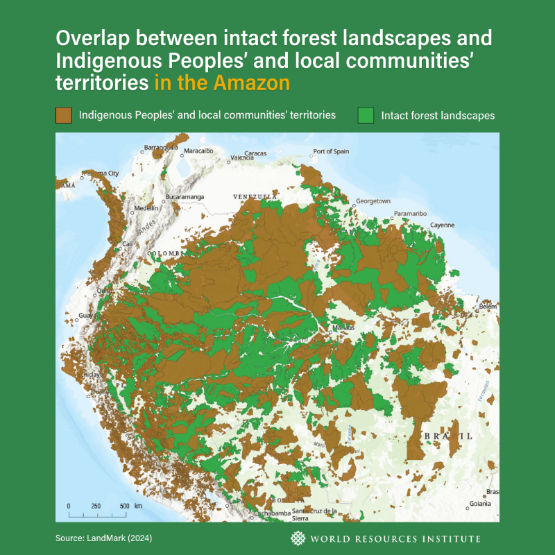 WorldResources's tweet photo. 🌎3 infographics from @LandMarkMap, a newly-updated resource developed under the secretariat of @landcoalition and WRI, show that protecting biodiversity goes hand in hand with securing Indigenous and community #LandRights⏩

Learn more👇