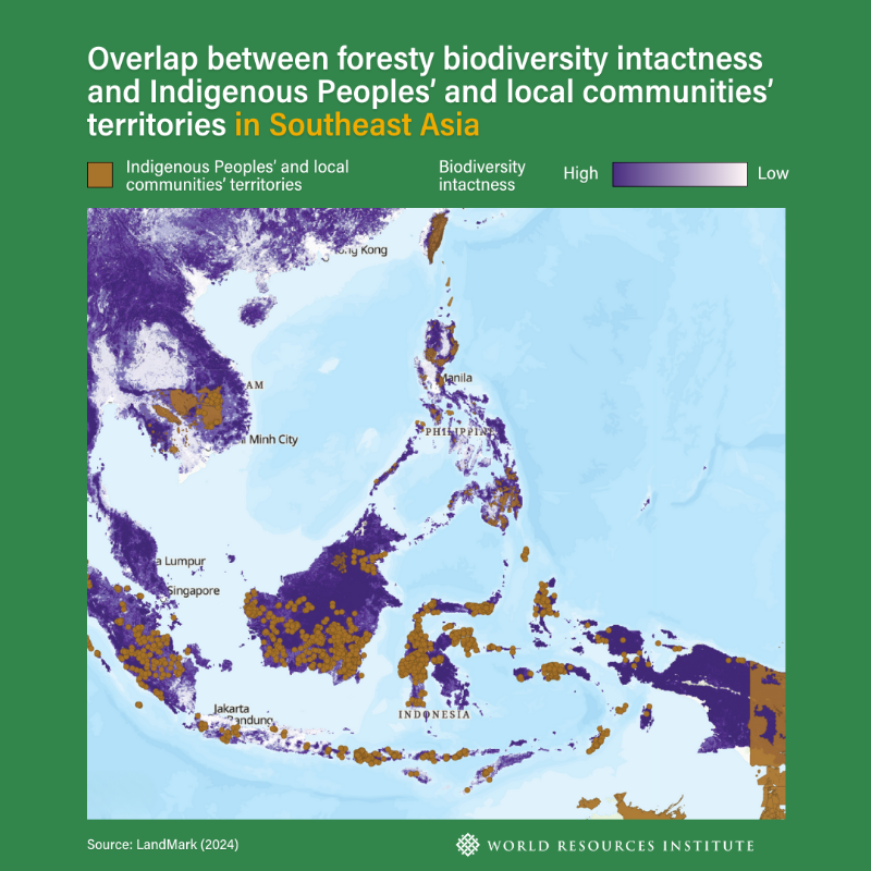WorldResources's tweet photo. 🌎3 infographics from @LandMarkMap, a newly-updated resource developed under the secretariat of @landcoalition and WRI, show that protecting biodiversity goes hand in hand with securing Indigenous and community #LandRights⏩

Learn more👇